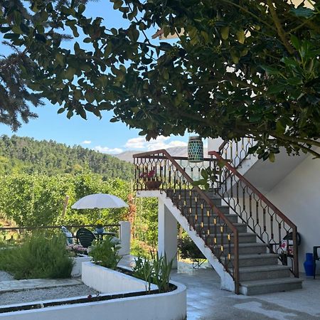 Villa Casa Vicente Lamego Esterno foto