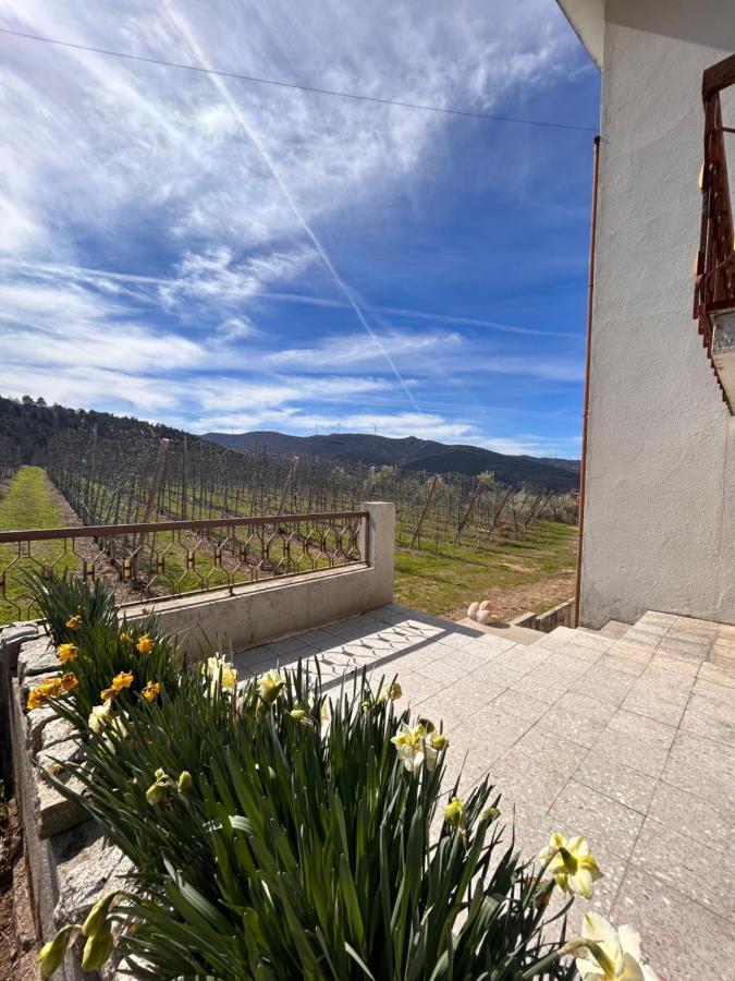Villa Casa Vicente Lamego Esterno foto