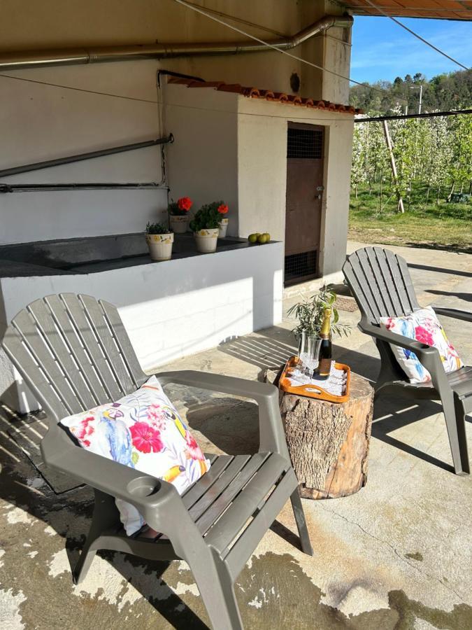 Villa Casa Vicente Lamego Esterno foto