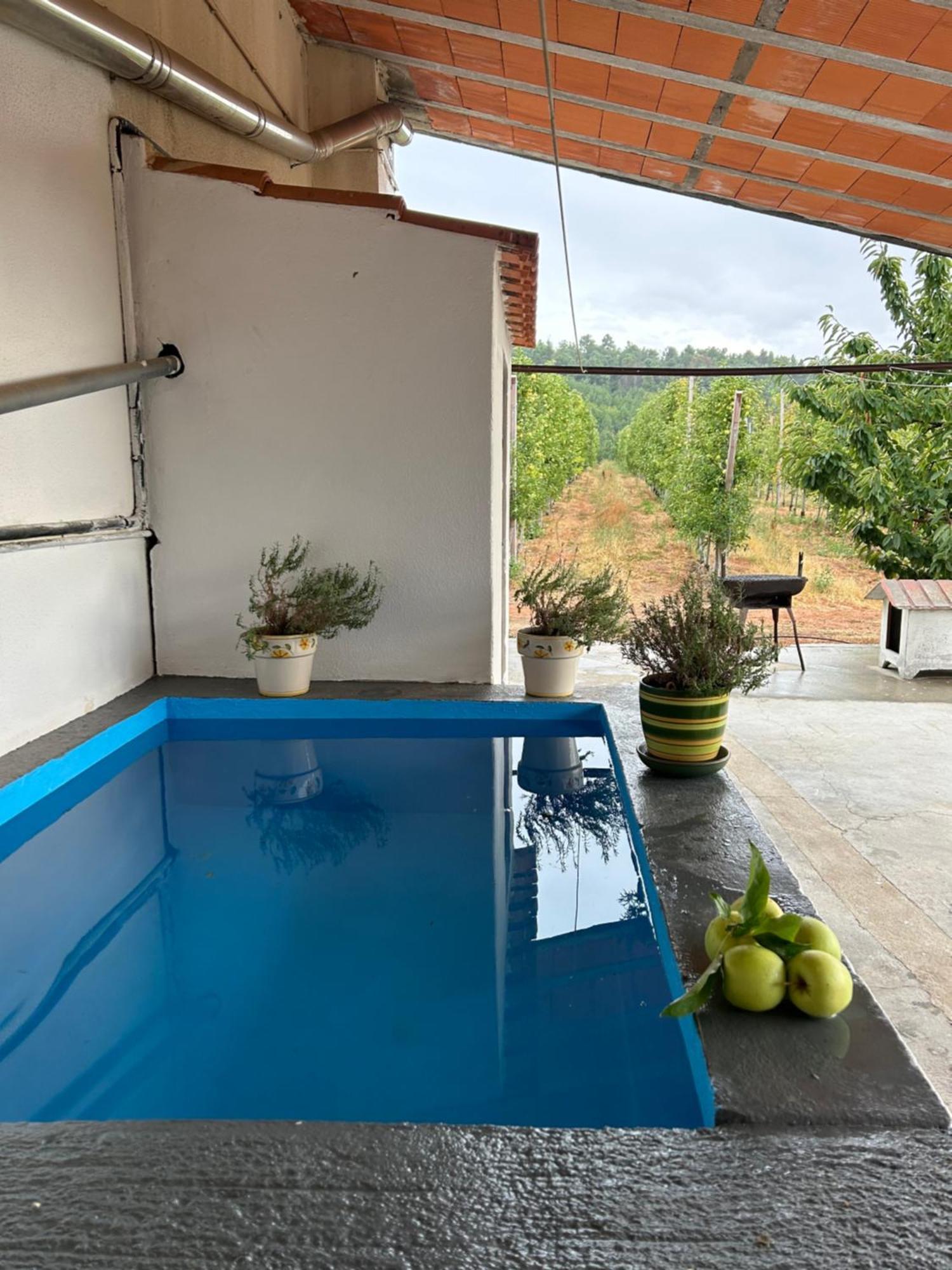 Villa Casa Vicente Lamego Esterno foto