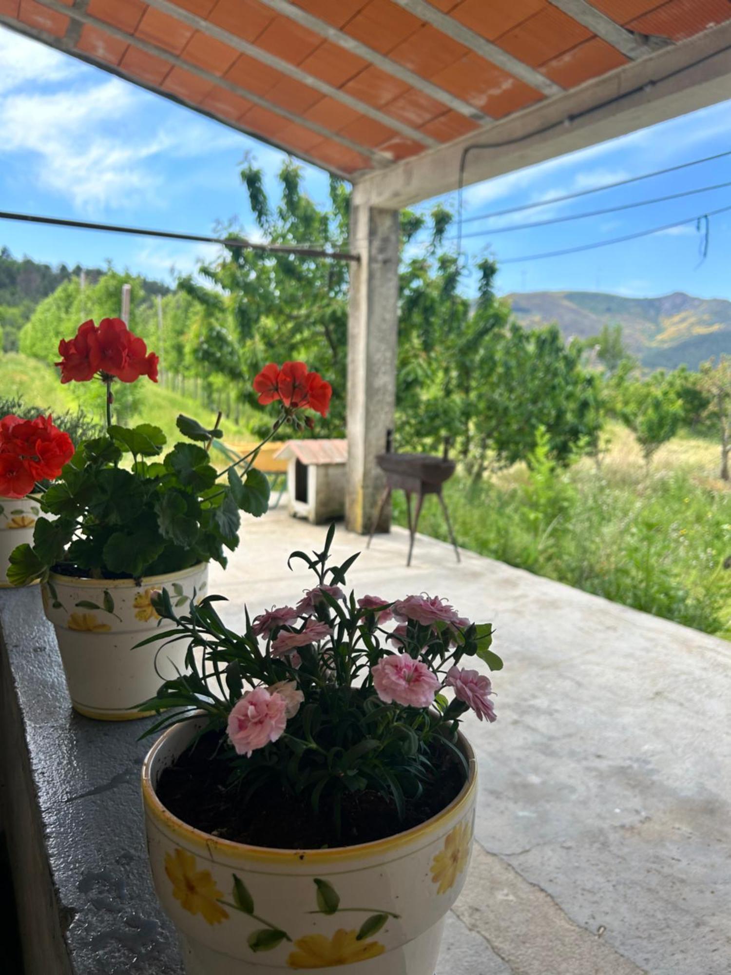 Villa Casa Vicente Lamego Esterno foto