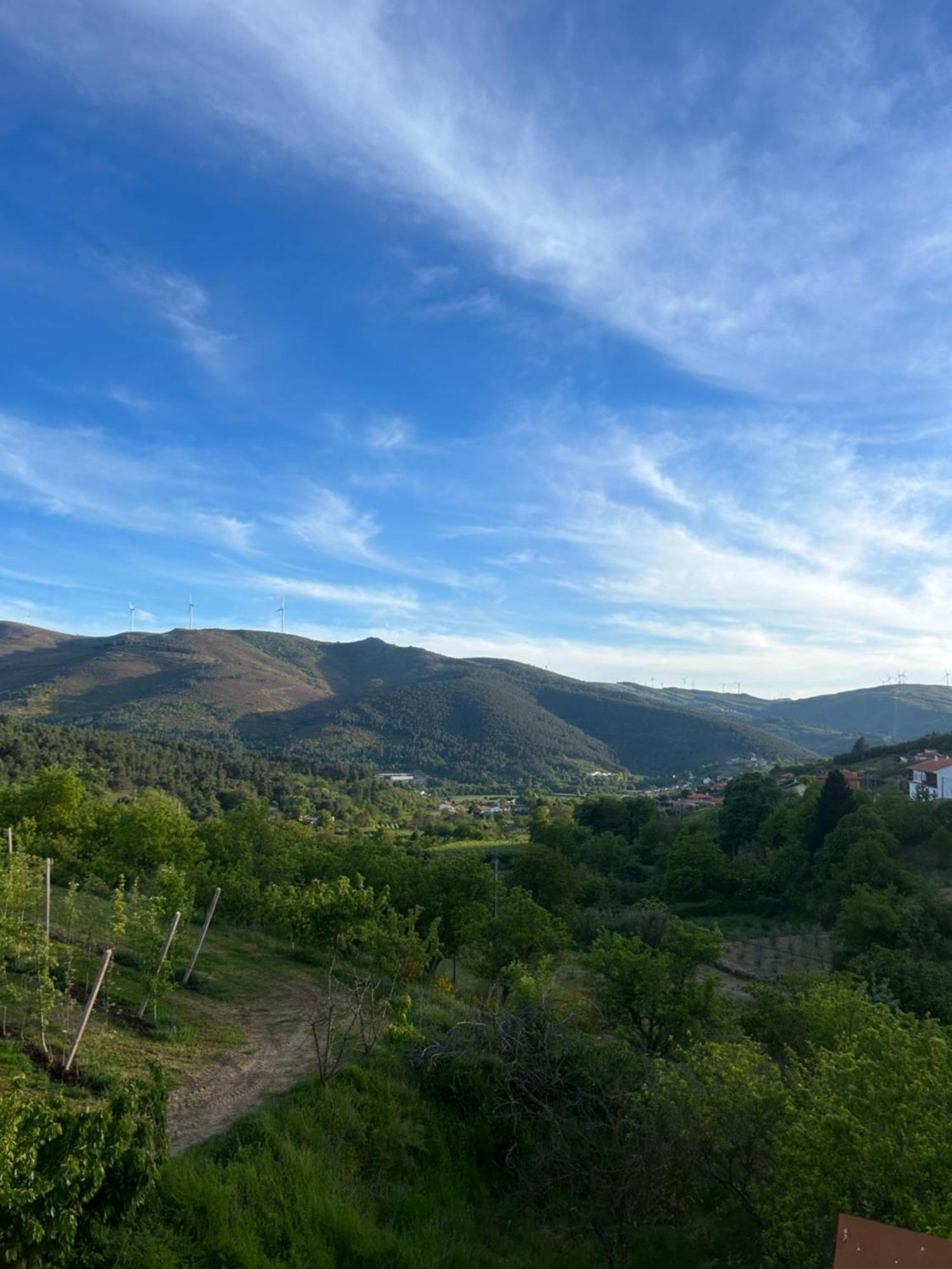 Villa Casa Vicente Lamego Esterno foto
