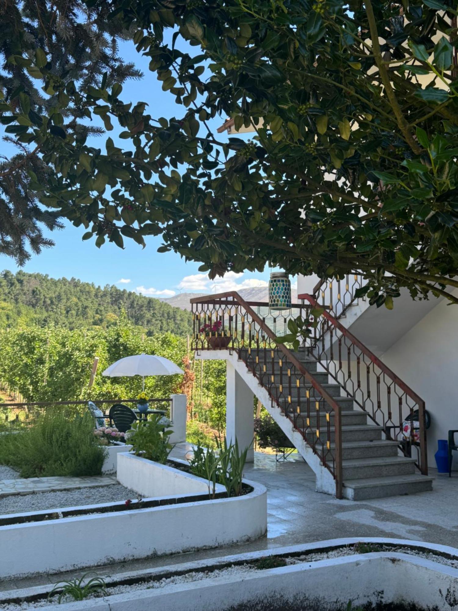 Villa Casa Vicente Lamego Esterno foto