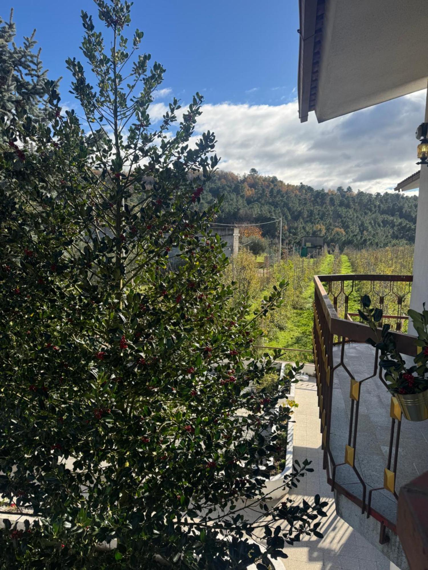 Villa Casa Vicente Lamego Esterno foto